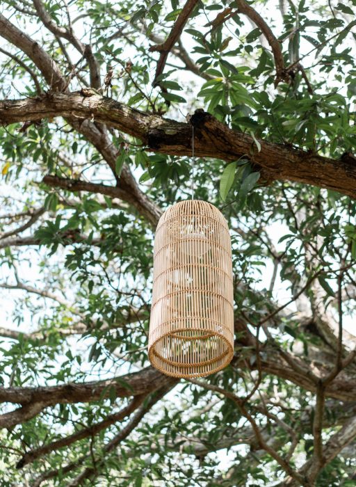 buglas_isla_2021-032