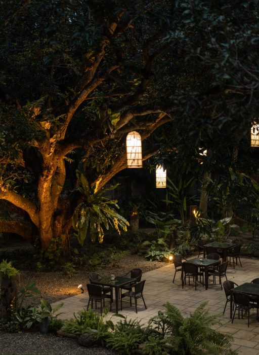 buglas_isla_2021-290